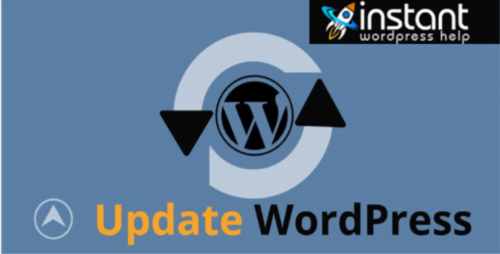 Wordpress Update Services